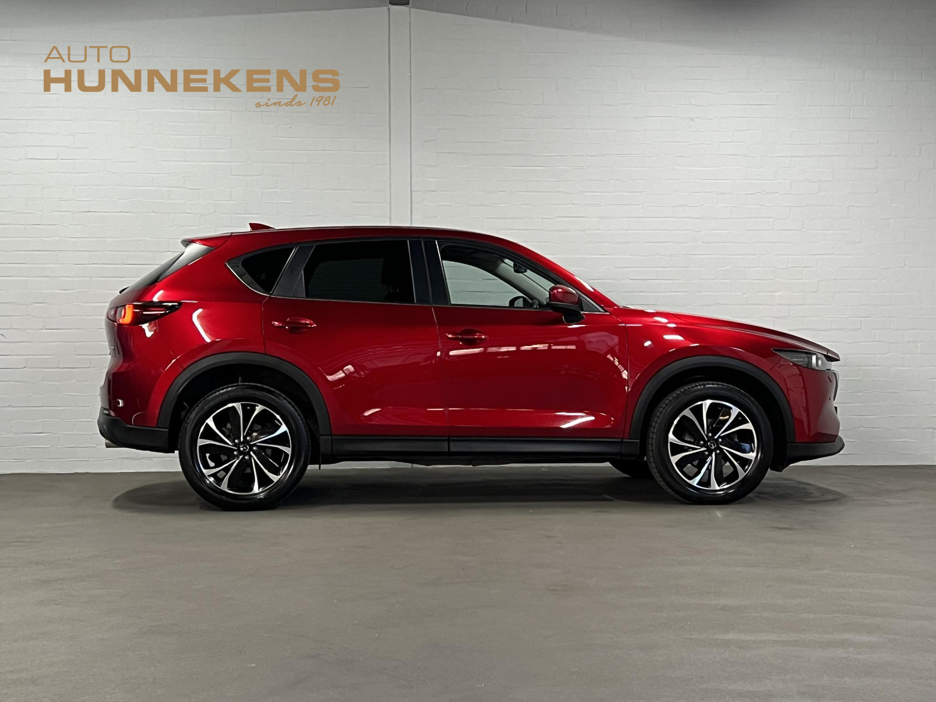 52980057-8.jpg