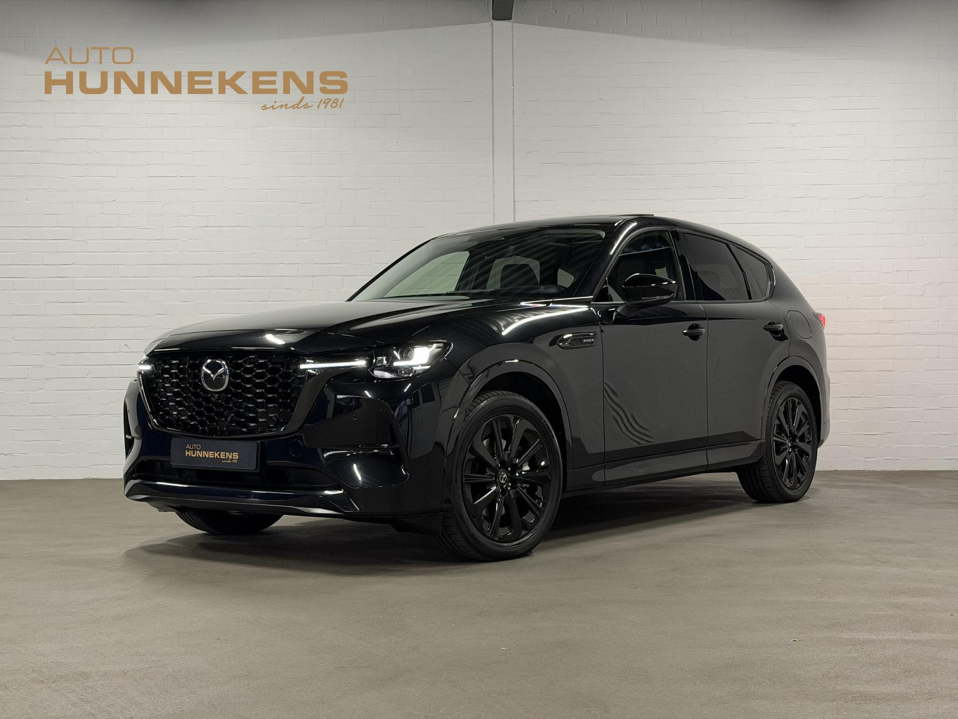 57624079